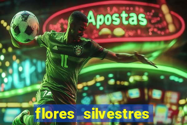 flores silvestres desbravadores desbravadores 25